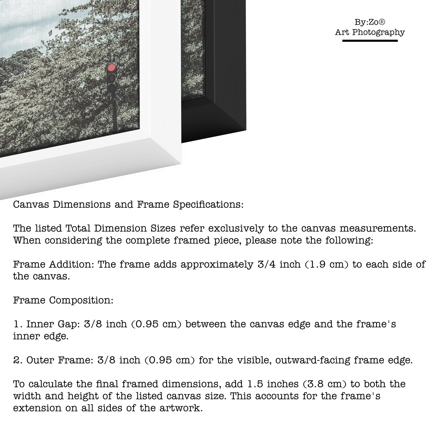 Floater Framed Canvas, The Capitol Fine Art Photography teelaunch