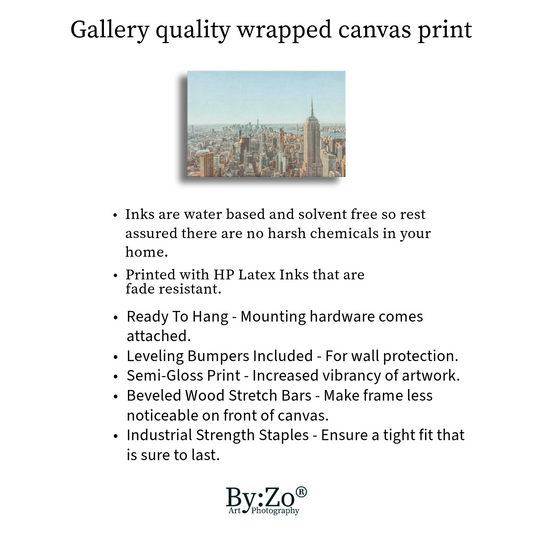 Wrapped Canvas, "August Farewell: A Painted Sky's Promise" teelaunch