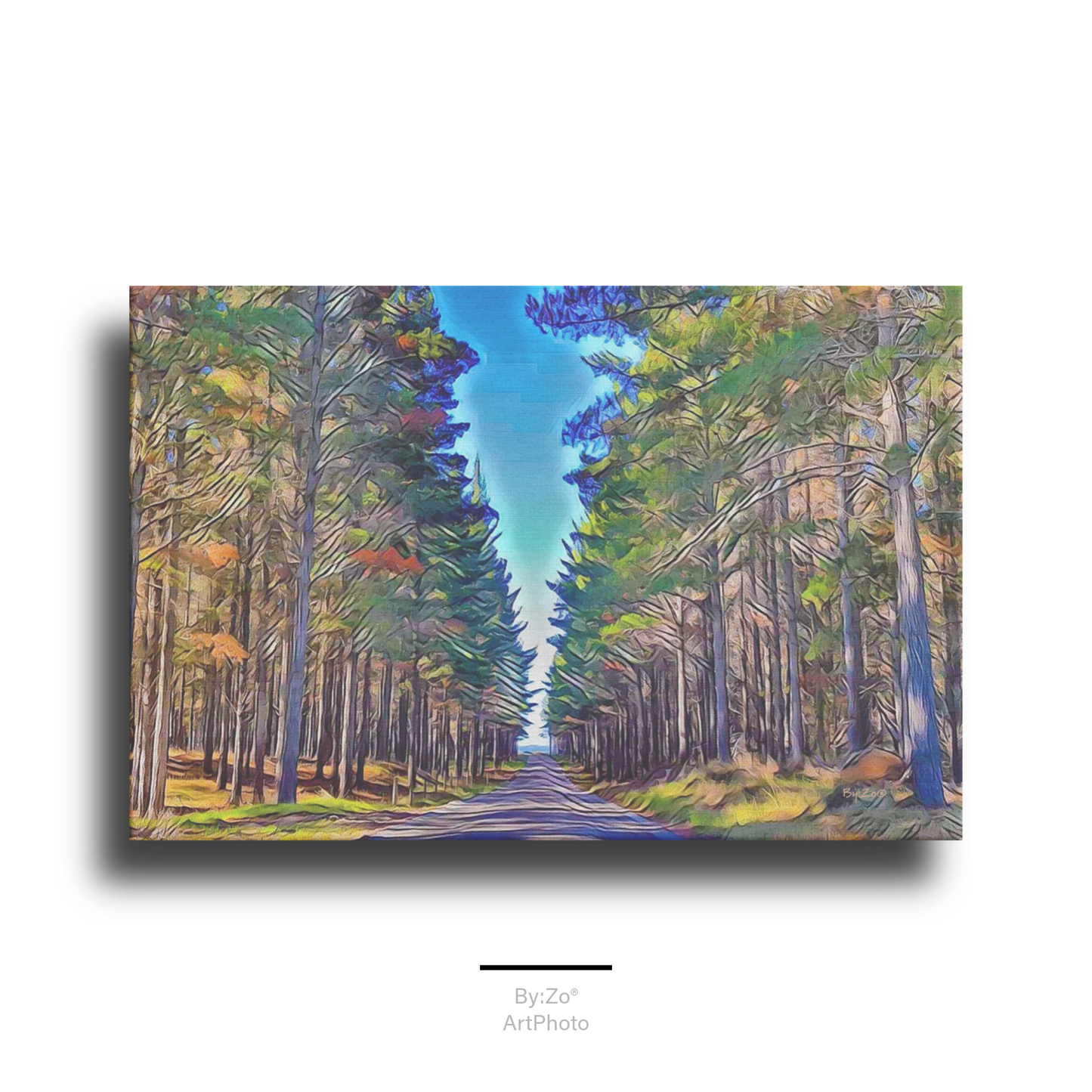 New To This Path I Go Original Photography Art Te Arai New Zealand teelaunch
