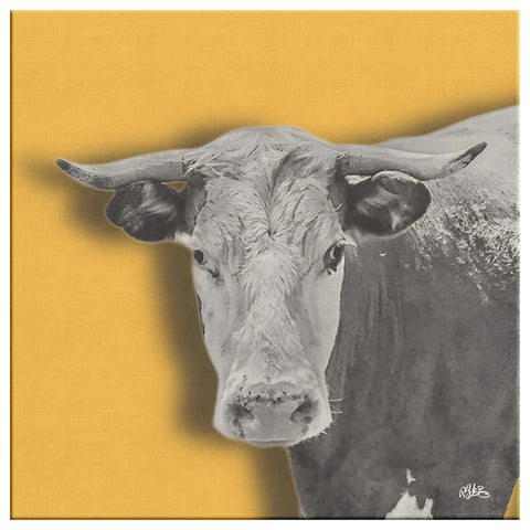 Cow on Canvas