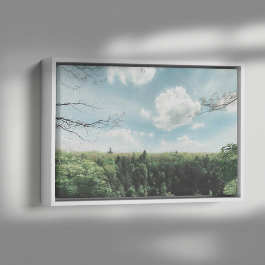 Floater Framed Canvas, "Dream" Landscape Original Fine Art Photography teelaunch