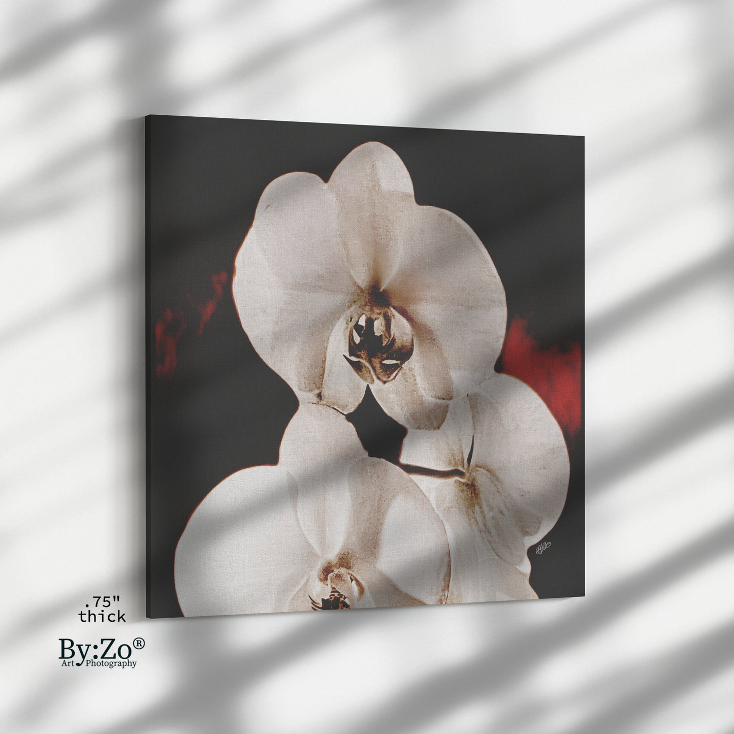 Orchid Drama, Red Splashed Fine Art Photography - By:Zo