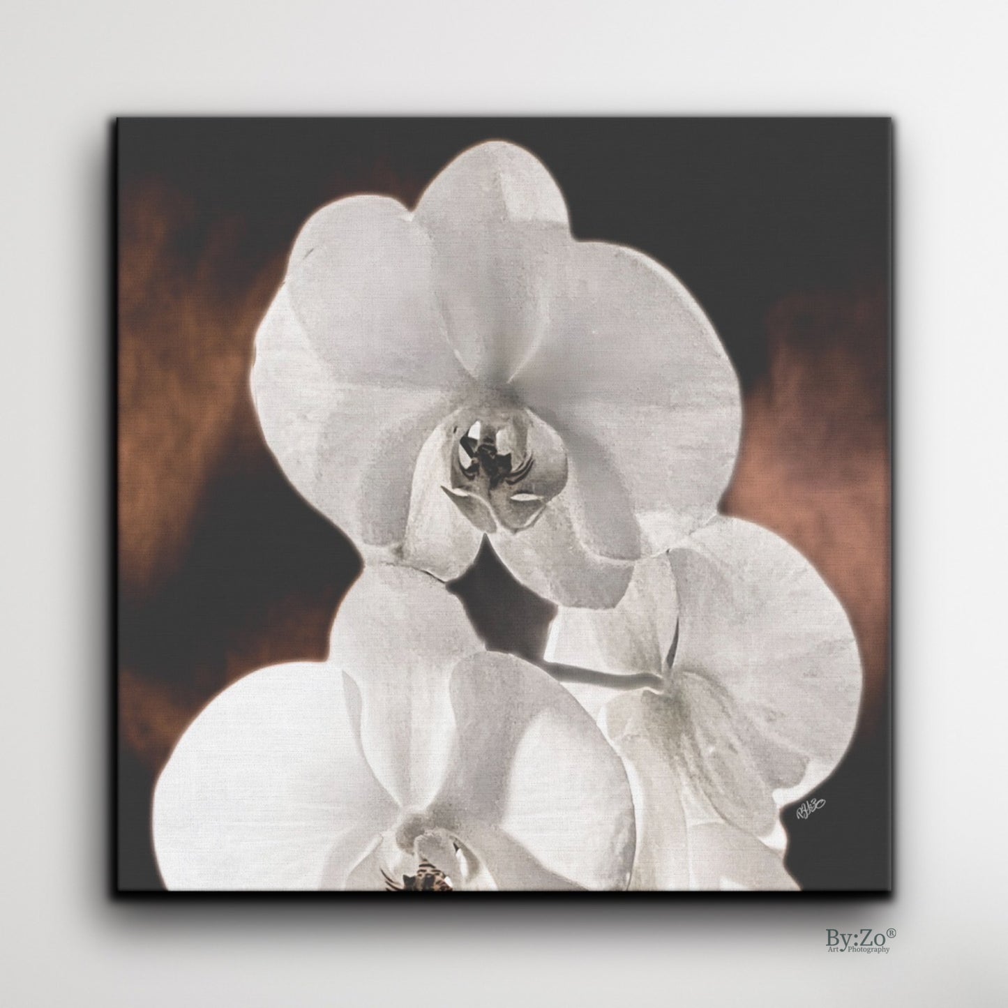 "Orchid Drama" Black Background Gold Splashed - By:Zo