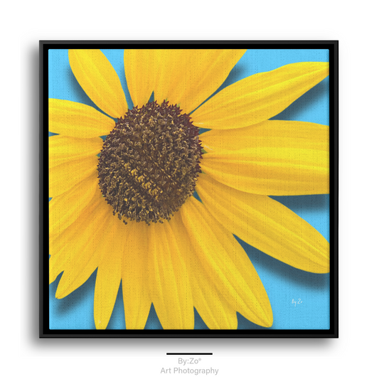 Square Framed Canvas - Sunflower Close-Up on Blue Original ByZo Art teelaunch