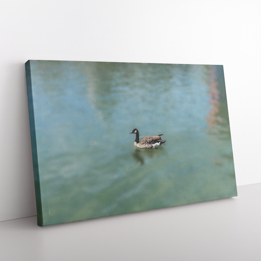 Wrapped_Canvas_Print_Serene_Duck_on_a_P_H_Rectangle_Angle_Floor_Mockup.png