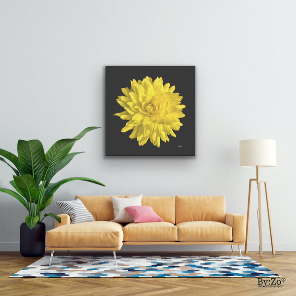 Dahlia Flower on Wrapped Canvas - By:Zo