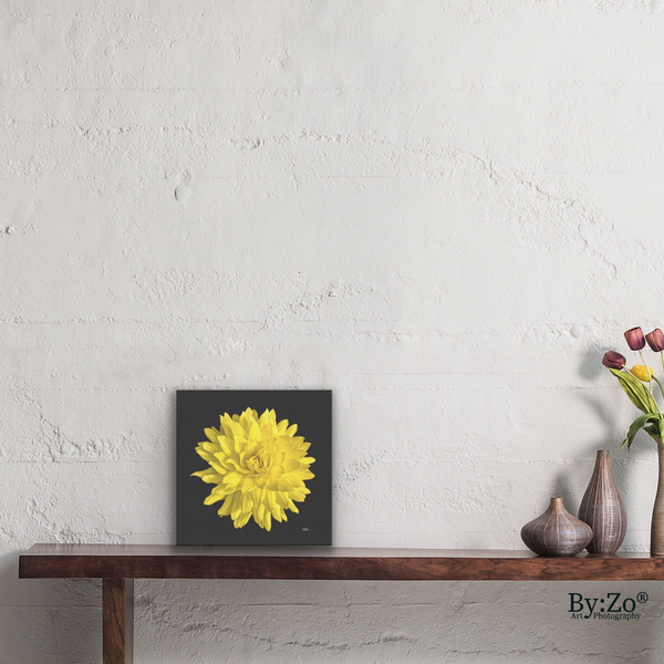 Dahlia Flower on Wrapped Canvas - By:Zo
