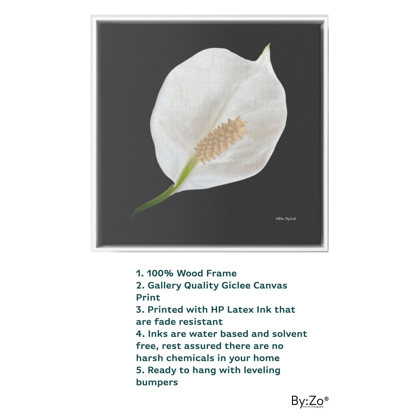 Peace Lily Giclee Print on Floating Framed Canvas Fine Art Photography Print By:Zo® - By:Zo