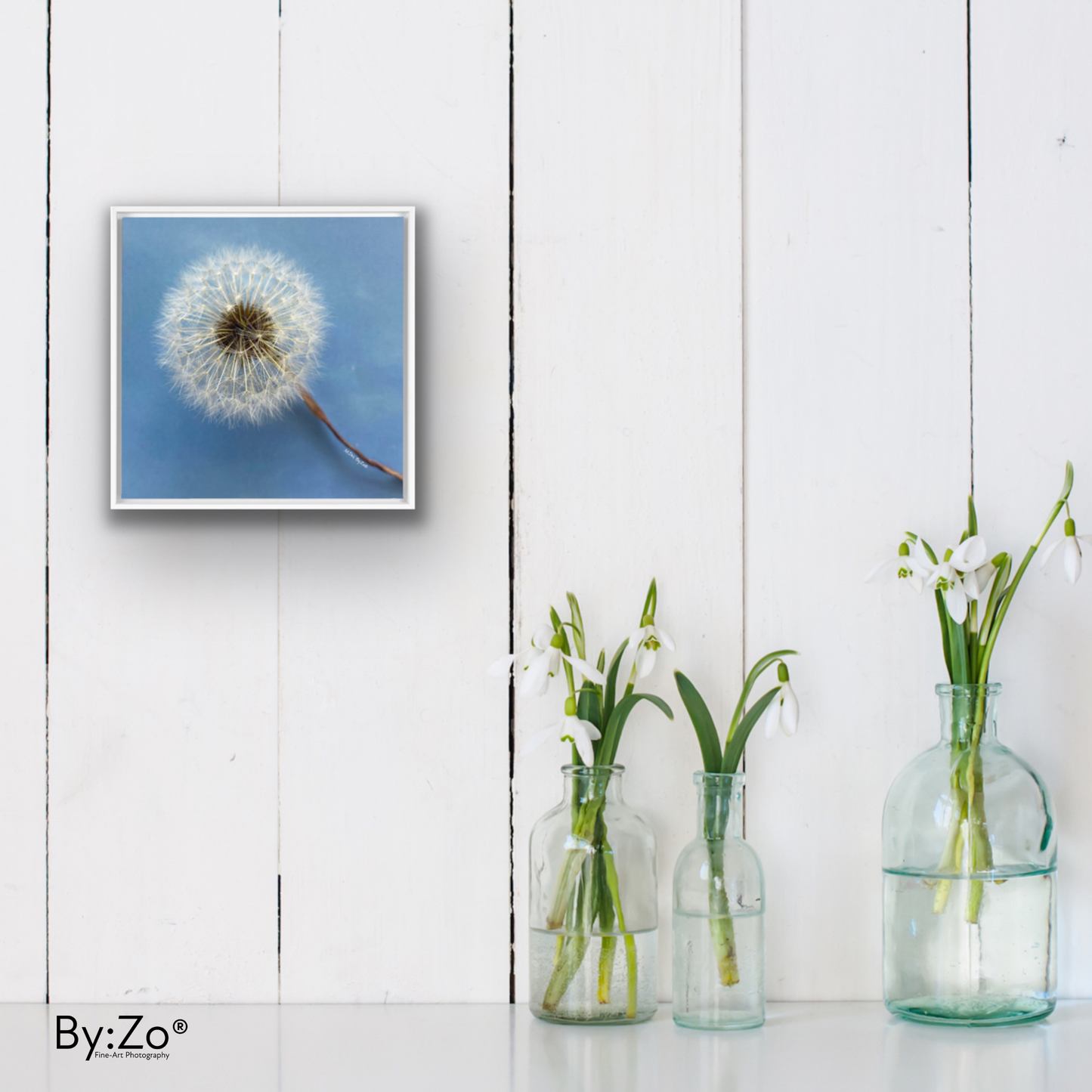 Wall Art Dandelion Make-a-Wish Make-Magic Original Art on Framed Canvas Floater Fine-Art Photography By:Zo® - By:Zo