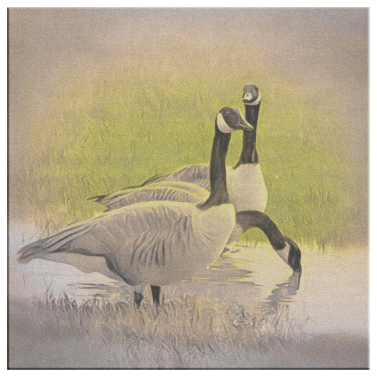"Geese" Original Fine Art Photography By:Zo® - By:Zo