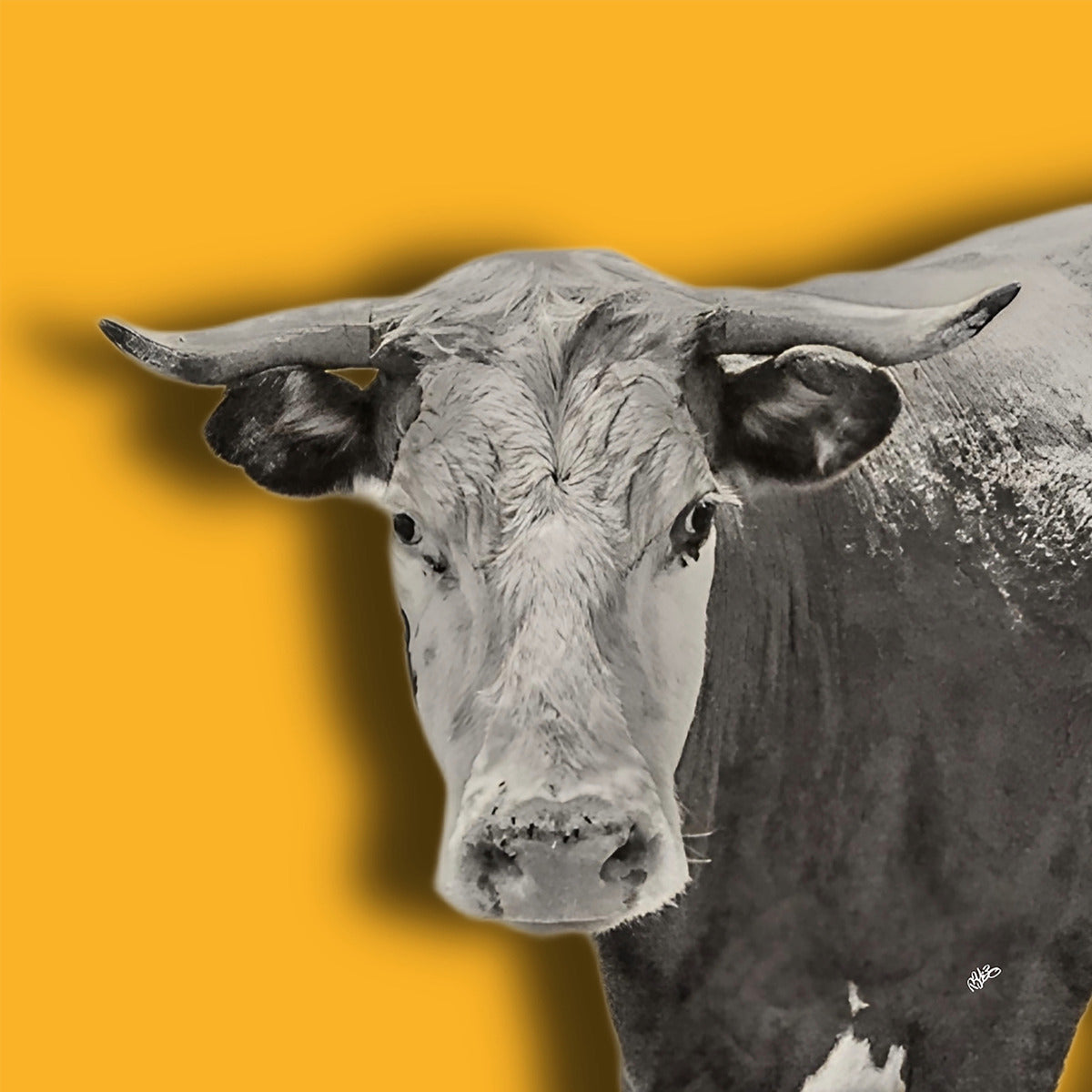 2399567 :: Giclée Fine Art Matte Paper Print