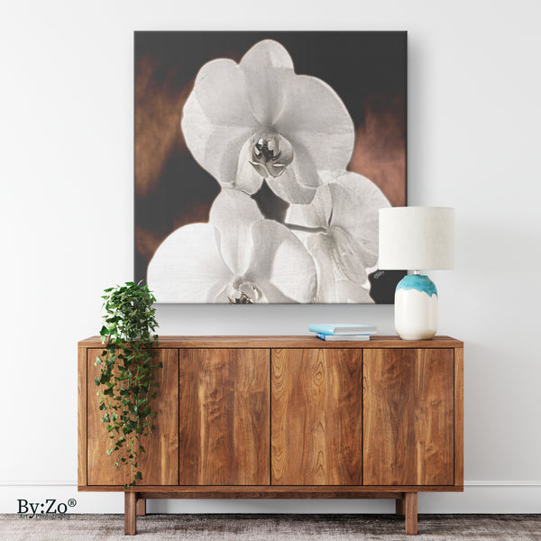 "Orchid Drama" Black Background Gold Splashed - By:Zo