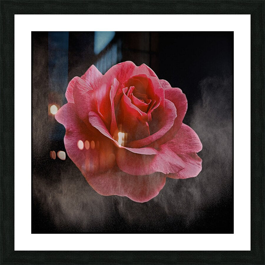 2576380 :: Framed Print