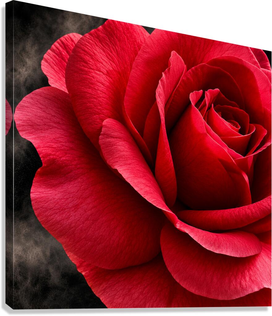 2769600 :: Giclée Stretched Canvas Print