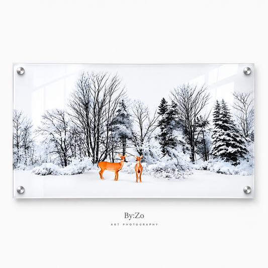Winter Visitors | Original Fine Art Photography by BY:ZO Art ByZo Art