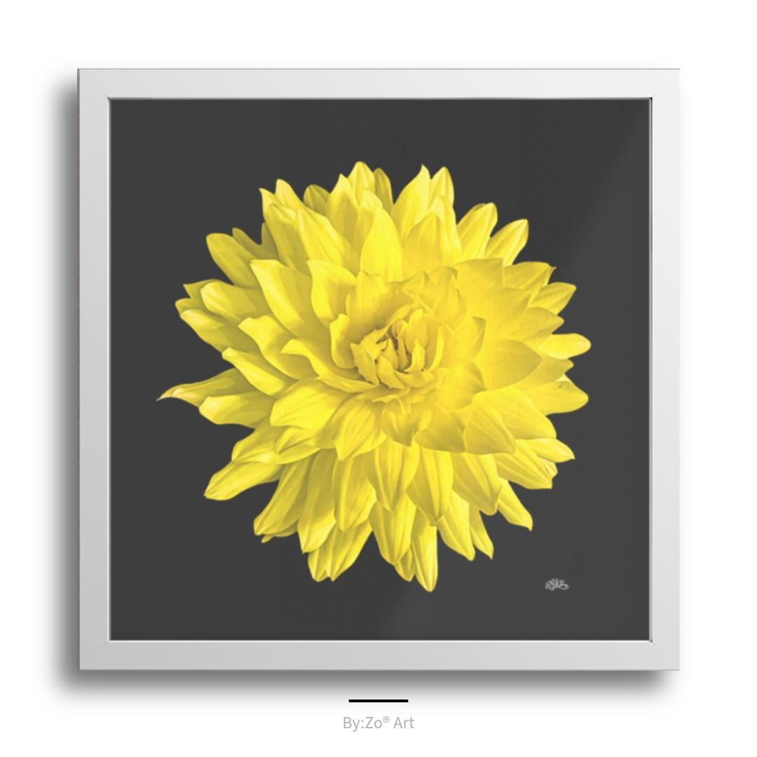 Framed Archival Semi-Gloss Paper, "Dahlia Flower on Black" Original Fine Art Photography teelaunch
