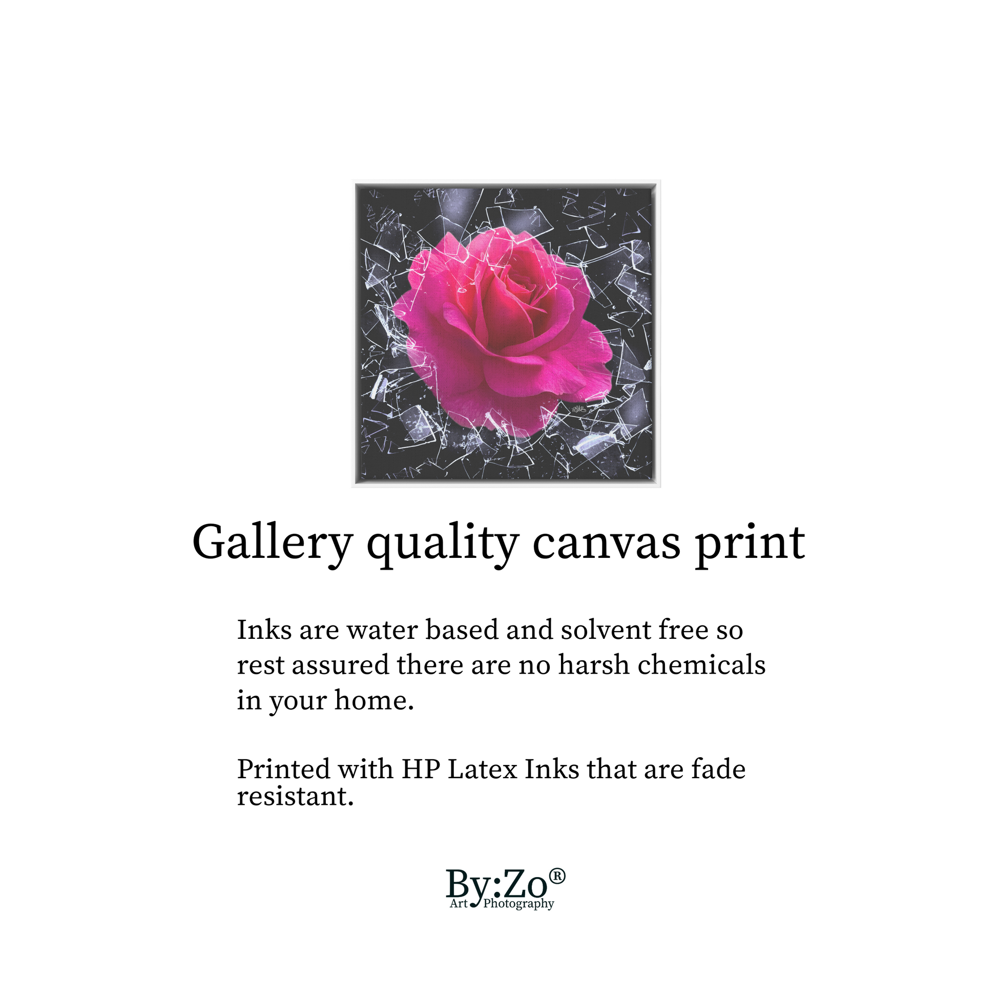 Square Framed Floater Canvas, "Breaking Free You Can't Stop Me" Rose Shatters Ice Original Photography Art teelaunch By:Zo®