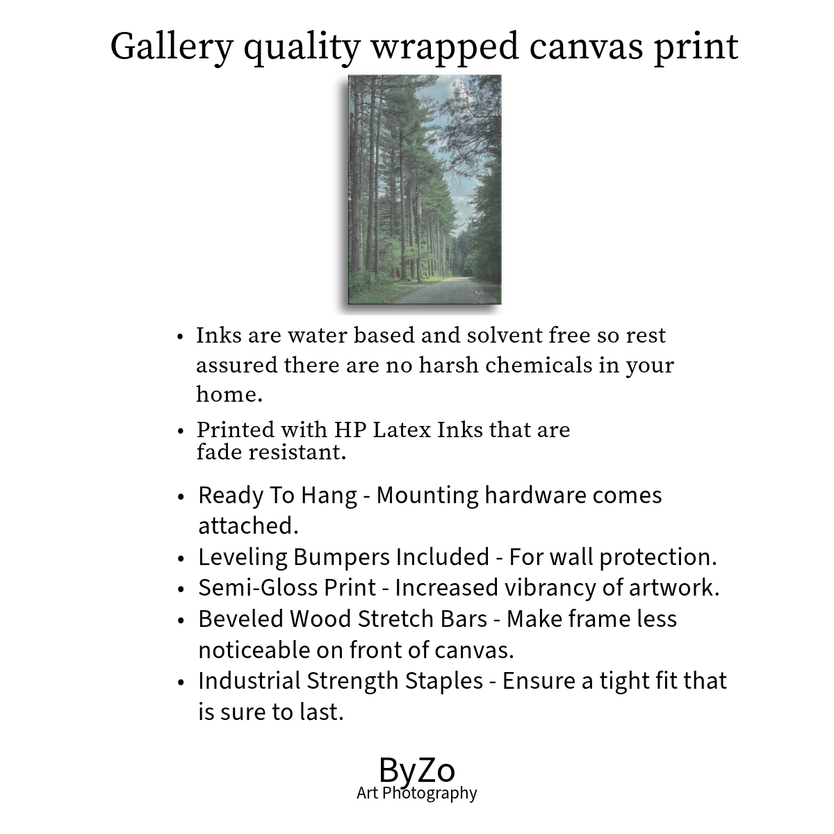 Wrapped Canvas "Trees" ByZo Art Photography teelaunch