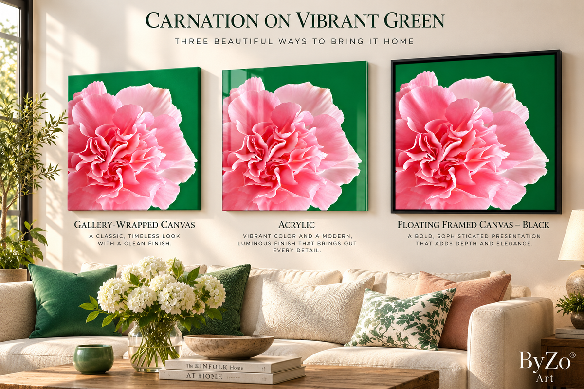 Carnation on Vibrant Green | Fine Art Photography Pictorem.com