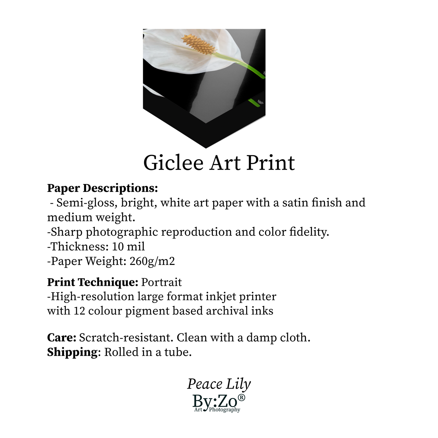 Product Description Giclee Art Print of Peace Lily. ByZo Art by: Maria Desnoyers.