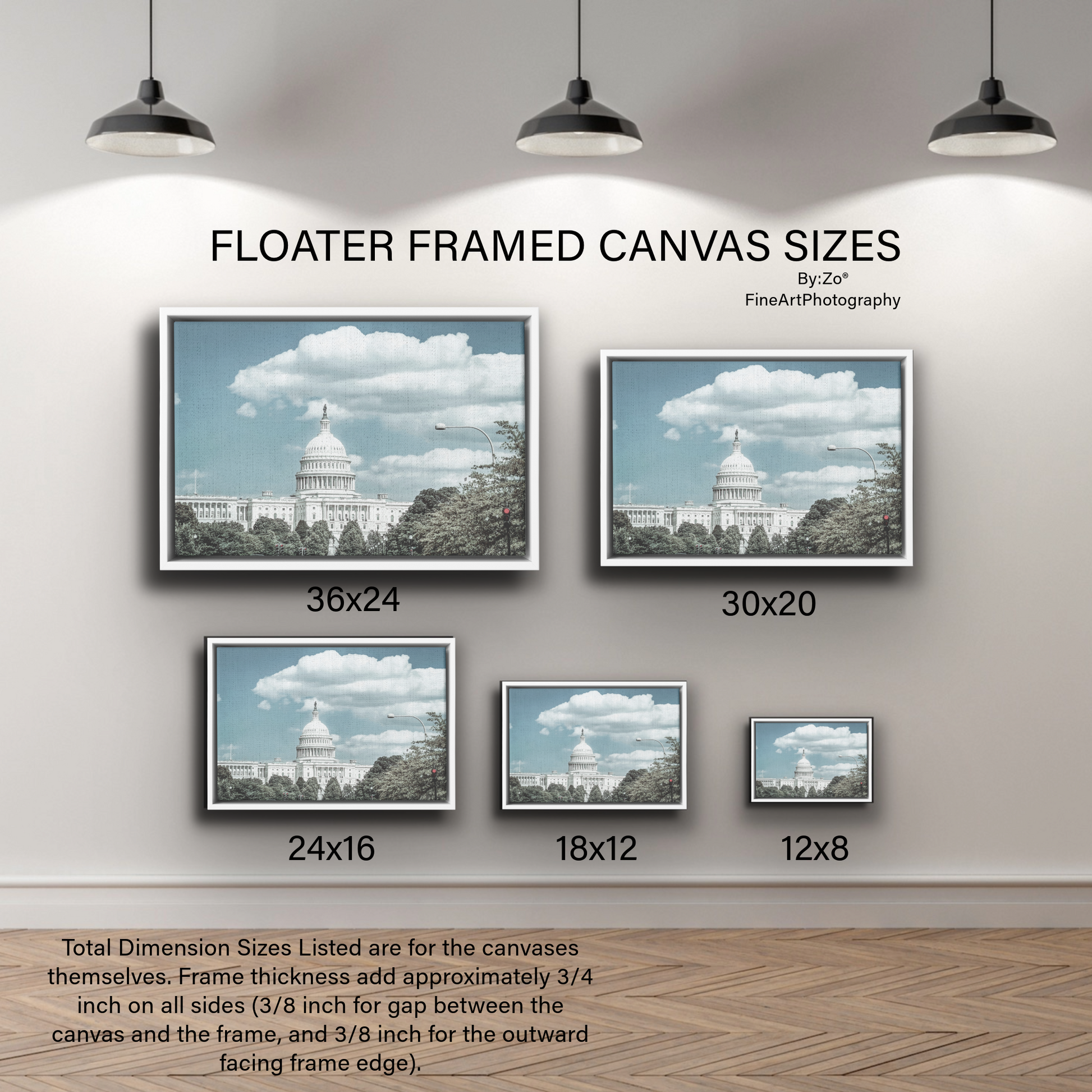 Floater Framed Canvas, The Capitol Fine Art Photography teelaunch