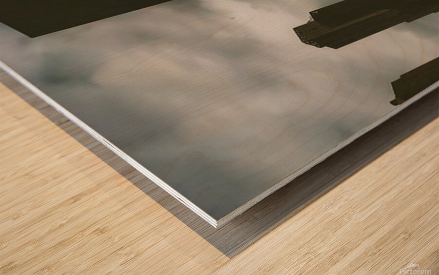 2388768 :: Wood Print
