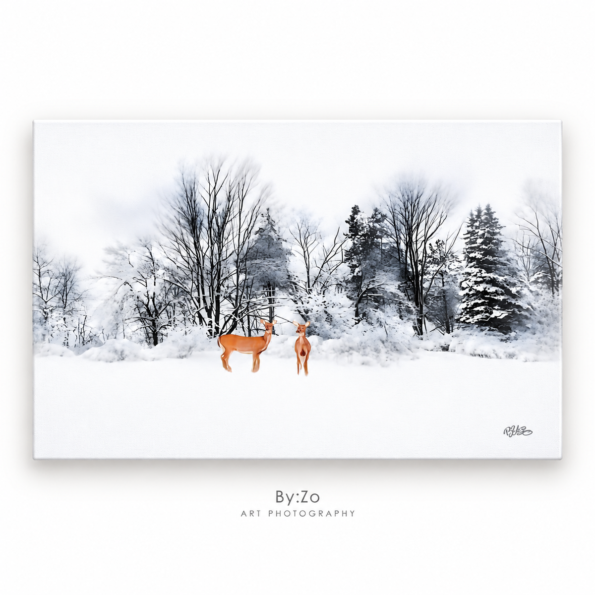 Winter Visitors | Original Fine Art Photography by BY:ZO Art ByZo Art