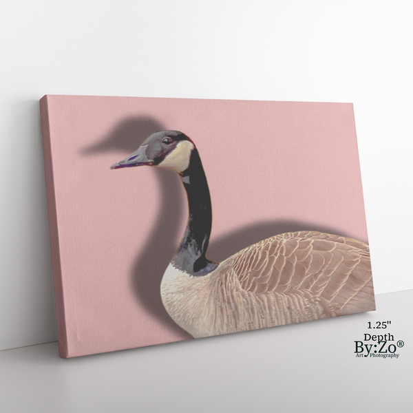 Canvas Print of an Original Photography Art of a Canadian Goose on Pink Background