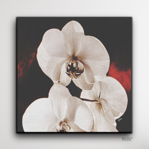 Orchid Drama, Red Splashed Fine Art Photography - By:Zo