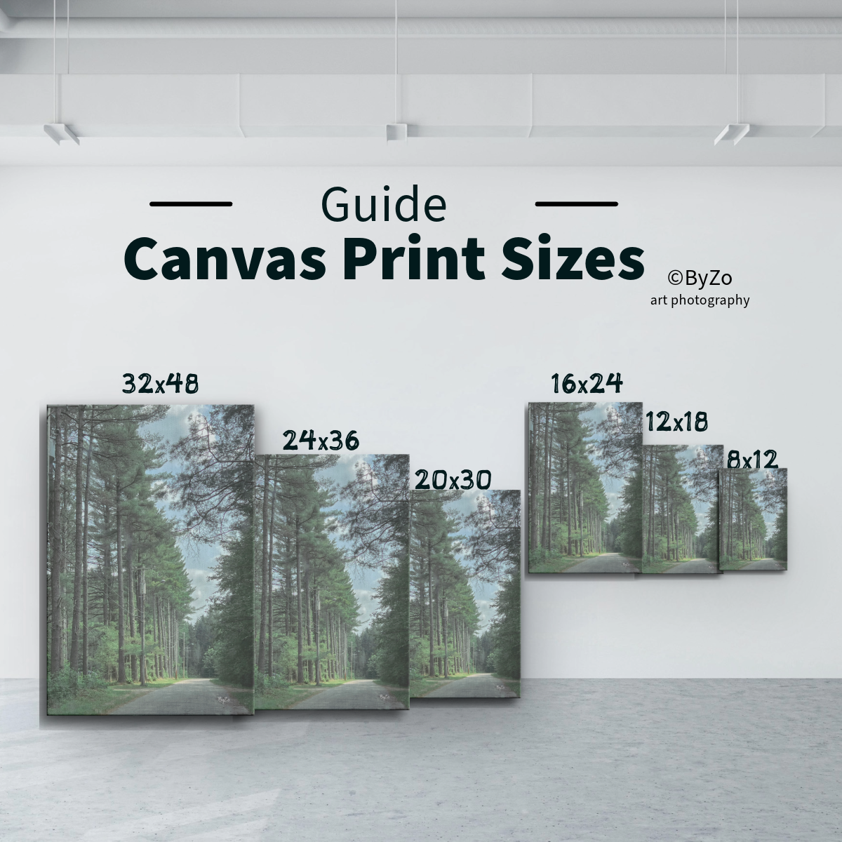 Wrapped Canvas "Trees" ByZo Art Photography teelaunch
