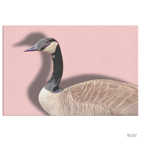 Spring Vibes Canadian Goose