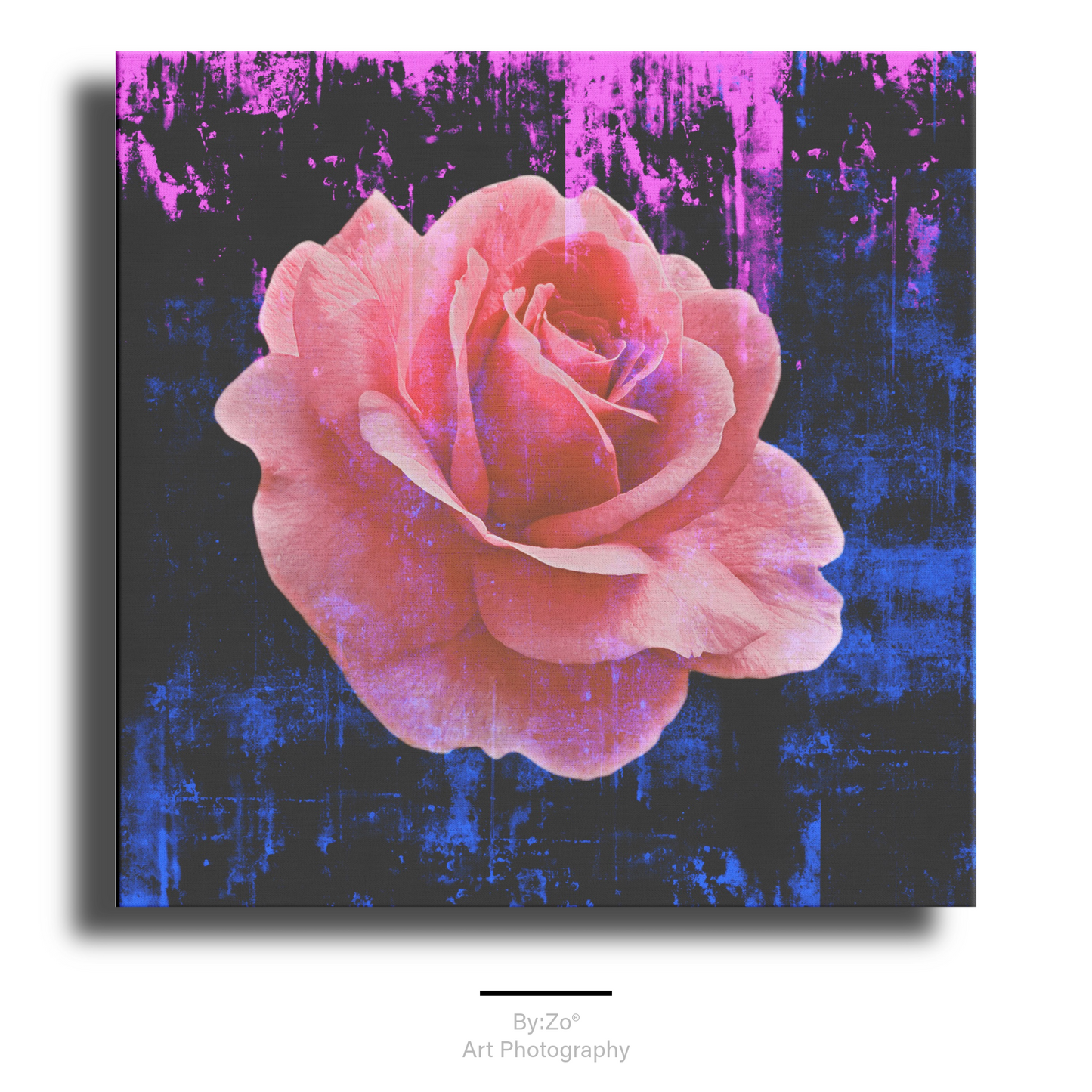 "Rose Color Splashed" on Wrapped Canvas By:Zo®