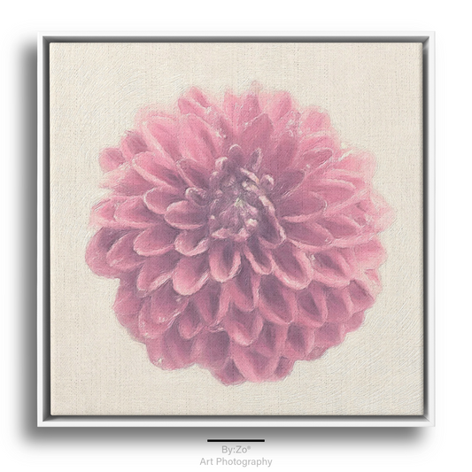 Floater Framed Canvas, Square - Japanese Dahlia Original Art Photography teelaunch