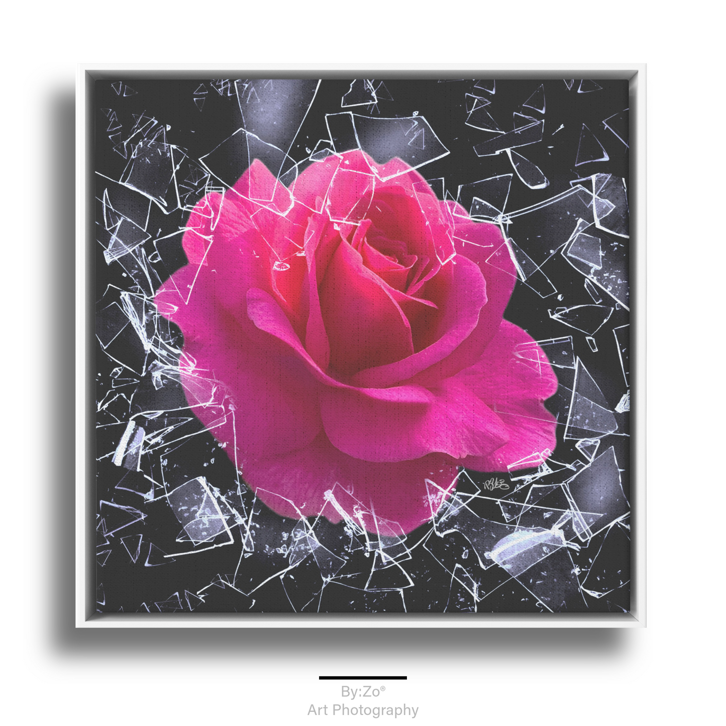 Square Framed Floater Canvas, "Breaking Free You Can't Stop Me" Rose Shatters Ice Original Photography Art teelaunch By:Zo®