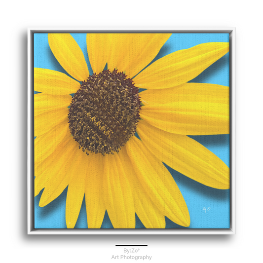 Square Framed Canvas - Sunflower Close-Up on Blue Original ByZo Art teelaunch