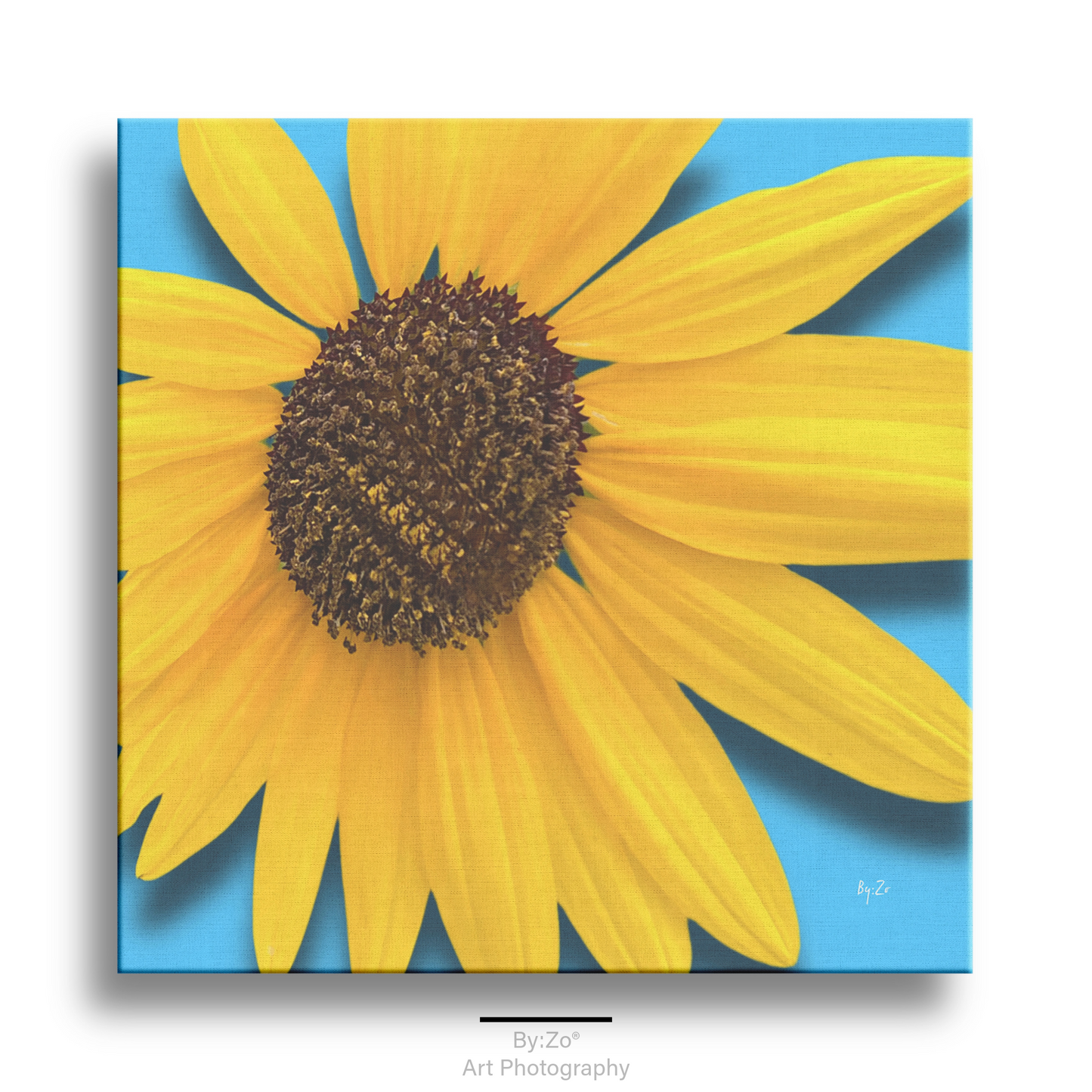 Sunflower Close Up Original Photography on Canvas Print by Maria Desnoyers at ByZo Art.