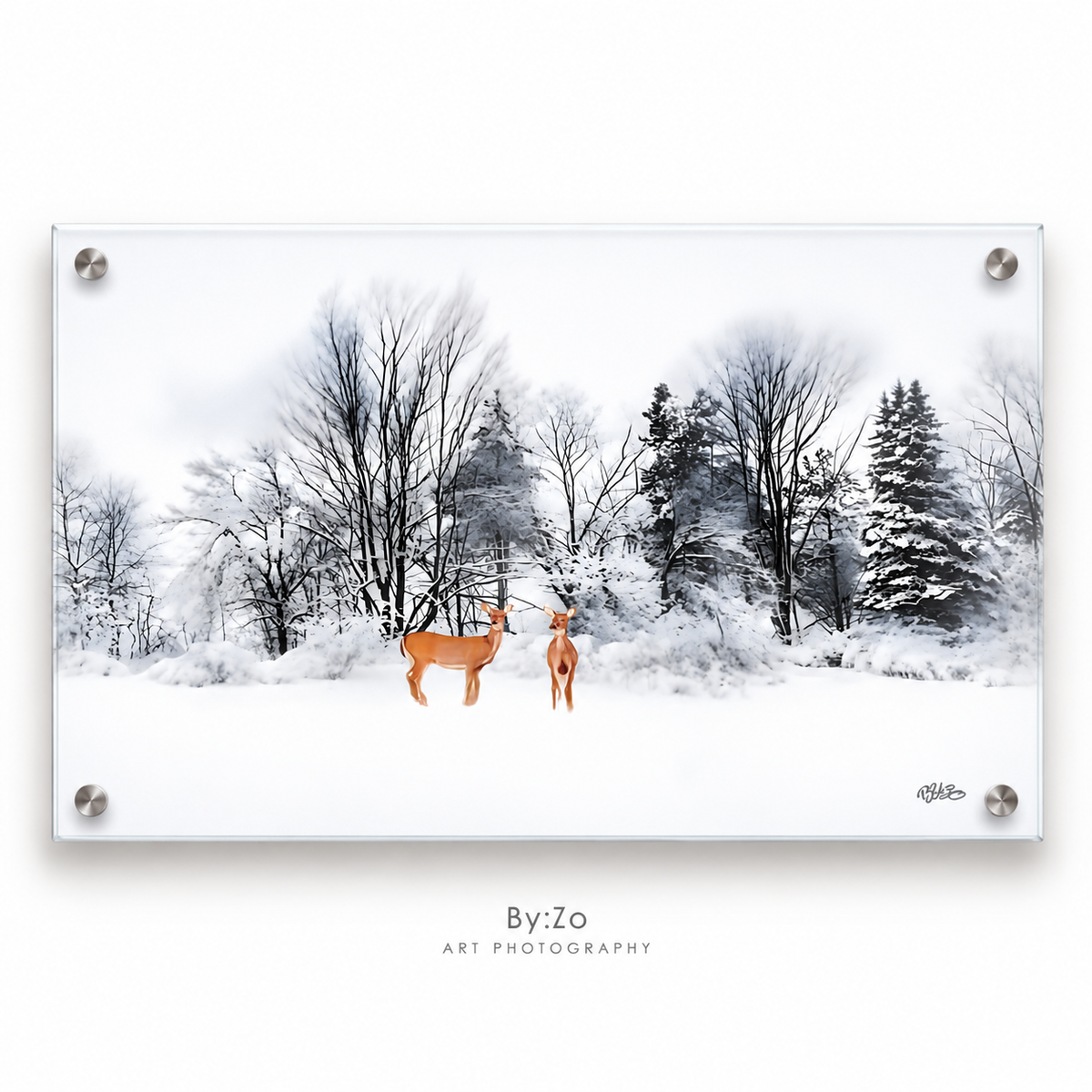 Winter Visitors | Original Fine Art Photography by BY:ZO Art