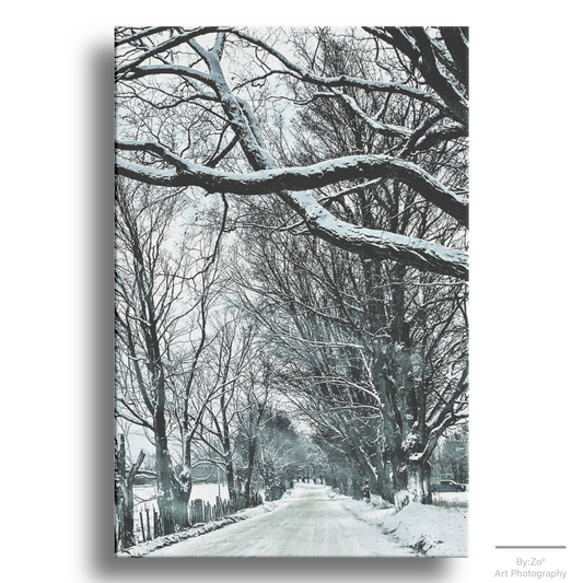 Wrapped Canvas, "Winter Country Road" Original ByZo Art Photography