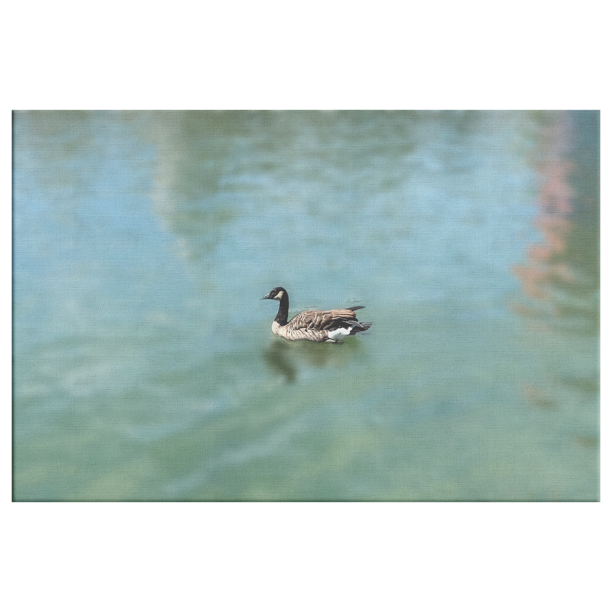 Wrapped_Canvas_Print_Serene_Duck_on_a_P_H_Rectangle_Main_Mockup.png