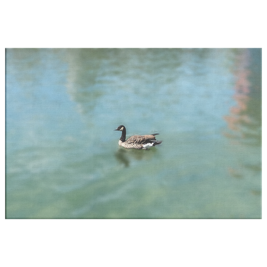 Wrapped_Canvas_Print_Serene_Duck_on_a_P_H_Rectangle_Main_Mockup.png