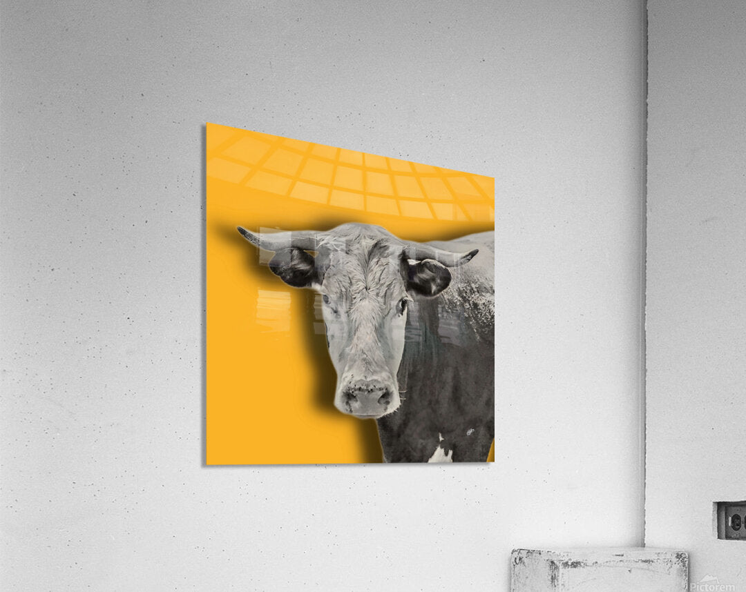 2399567 :: Acrylic Print
