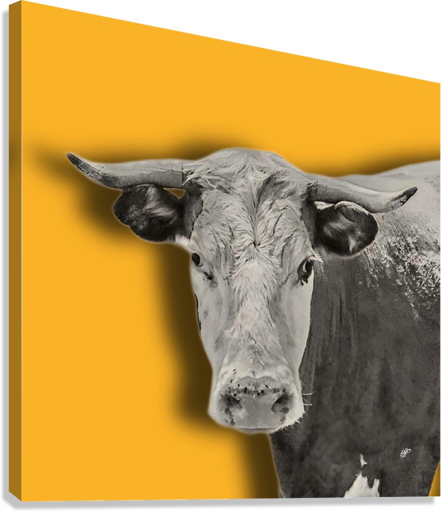 2399567 :: Giclée Stretched Canvas Print