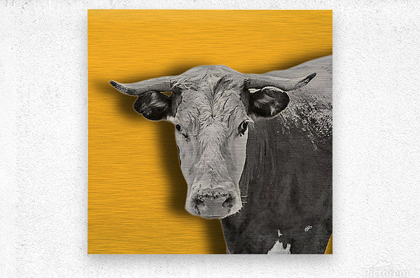 2399567 :: Brushed Metal Print