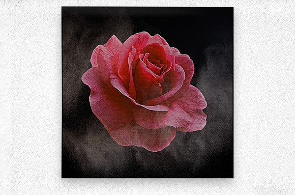 2576380 :: Brushed Metal Print