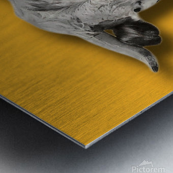 2399567 :: Brushed Metal Print