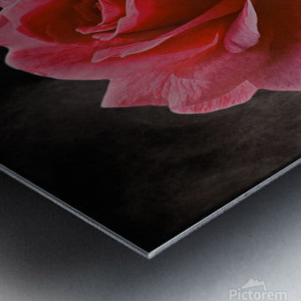2576380 :: Brushed Metal Print