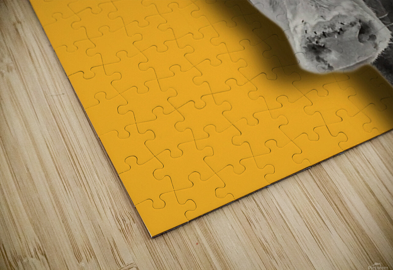 2399567 :: Puzzle Print