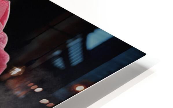 2576380 :: HD Sublimation Metal Print