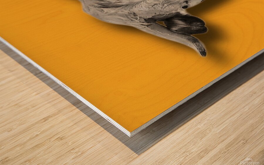 2399567 :: Wood Print