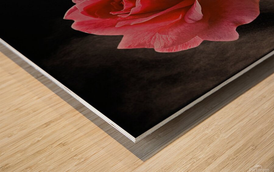 2576380 :: Wood Print